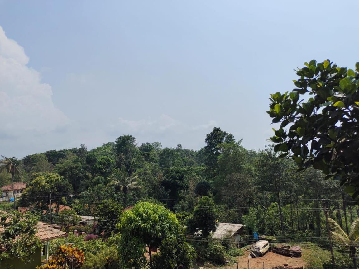 Green Land Estate Homestay 5 Rooms With Garden View マディケーリ エクステリア 写真