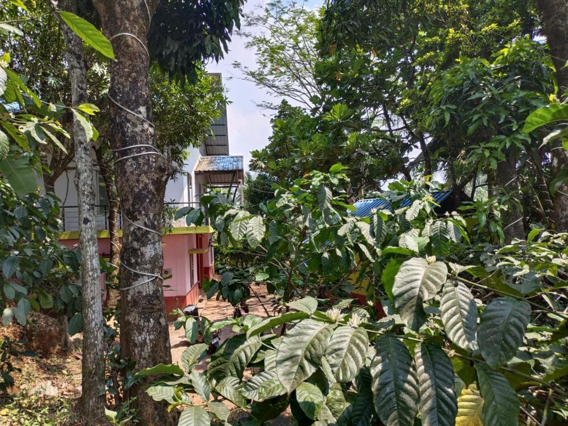 Green Land Estate Homestay 5 Rooms With Garden View マディケーリ エクステリア 写真
